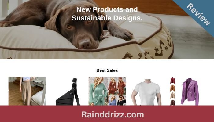 rainddrizz.com